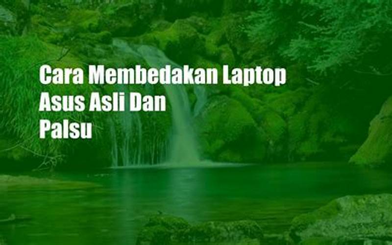 Cara Membedakan Laptop Asus Asli Dan Palsu