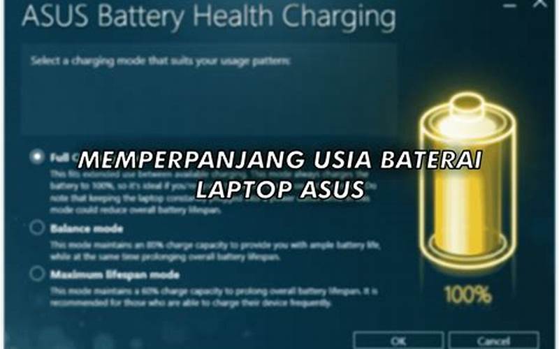 Cara Memperpanjang Umur Baterai Laptop Dengan Membatasi Charge