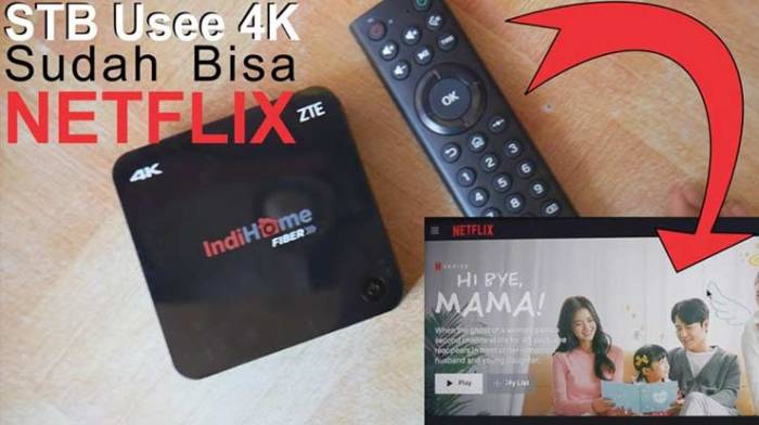 Cara instal netflix di stb indihome