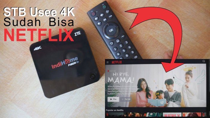 Cara instal netflix di stb indihome