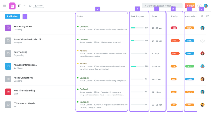 Asana plans