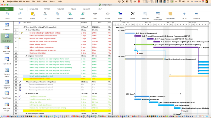 Ms project plan