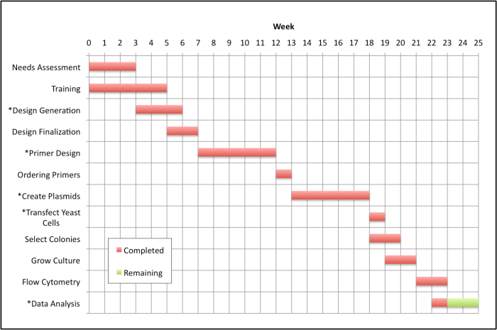 Gantt chart timeline